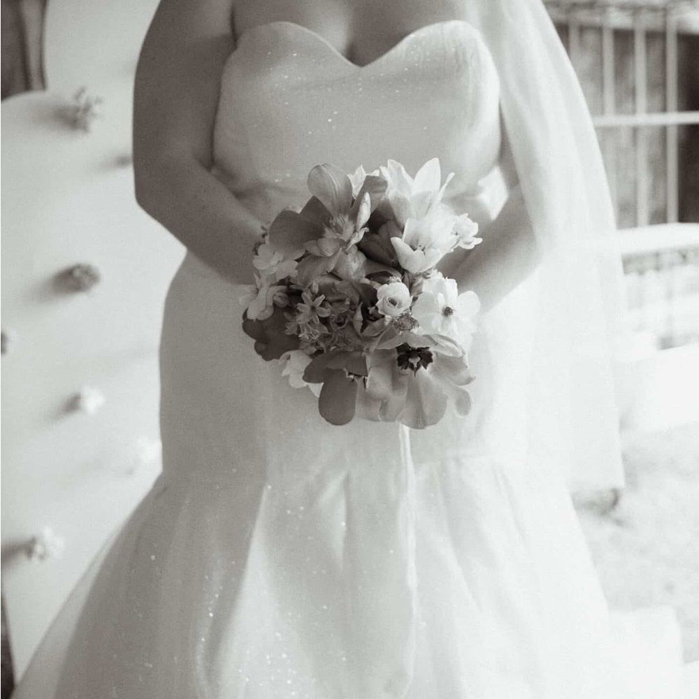 Private Label Sparkle Tulle Gown (Size 26)